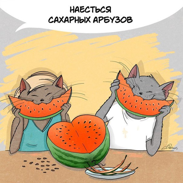 Почему я жду лета