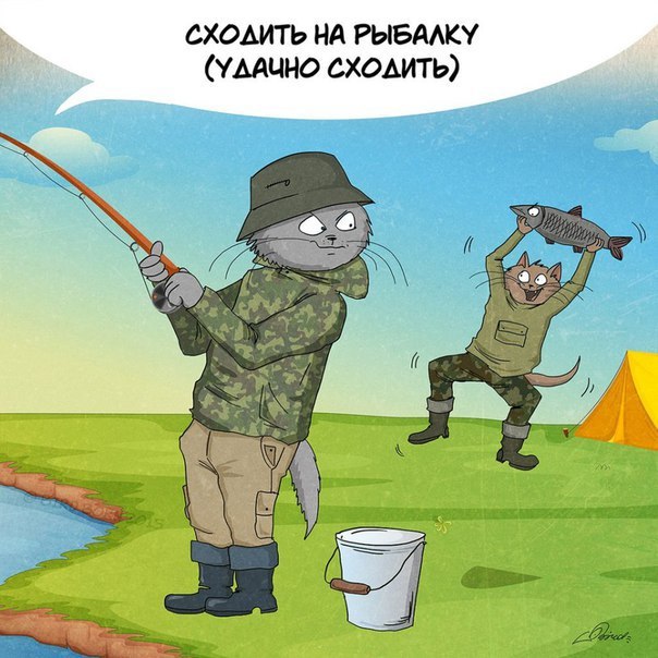 Почему я жду лета