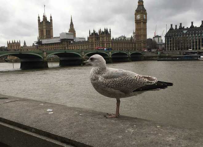 Лондон