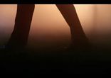 Влад Цветаев - Ты мое небо