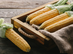 Як і скільки варити кукурудзу