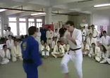 Jujitsu Demo
