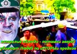 Сенсации -7522-2014-01- загорелые нЕлюди мирно убивают Людей