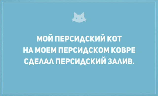 Без кота и жизнь не та