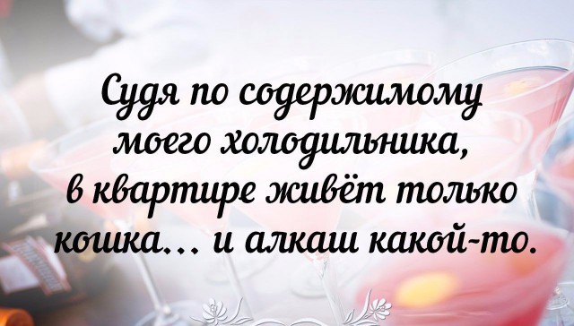 Прикольная подборка с текстом