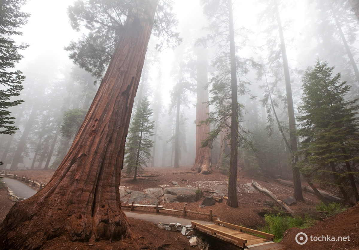 Йосеміті, США