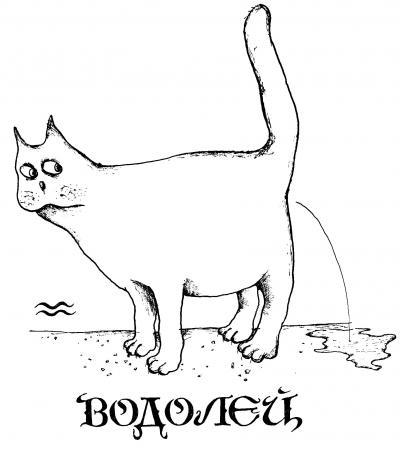 Смешная котейная открытка водолею