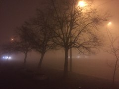 Причина появления тумана в Киеве
