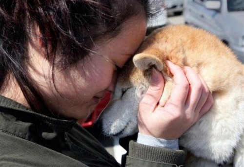 Веселая жизнь