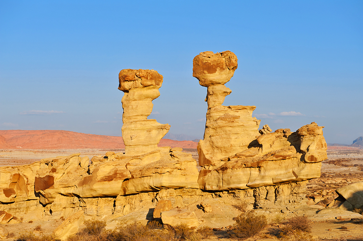 Пилея лунная долина фото