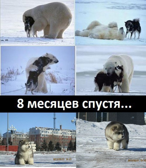 Настоящая любовь существует