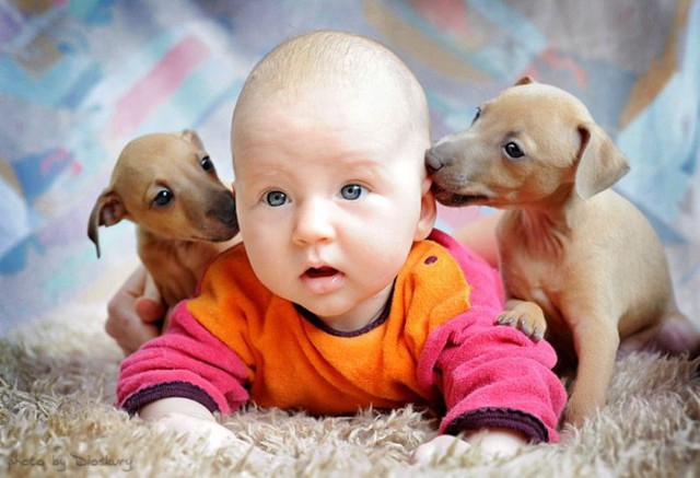 Классные картинки про собак и детей