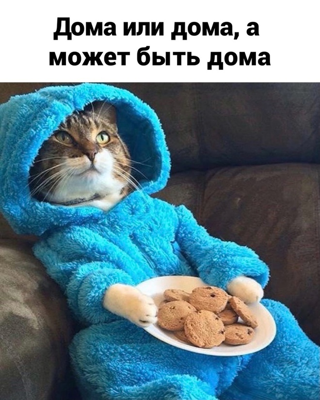 Планы на Новый год