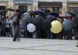 флеш моб, щит из зонтиков