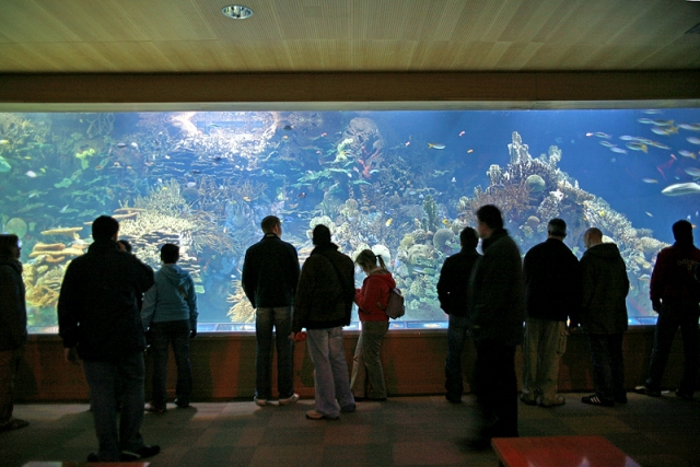 Достопримечательности Валенсии: аквариум L’Oceanografic 