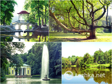 Лучшие дендропарки Украины