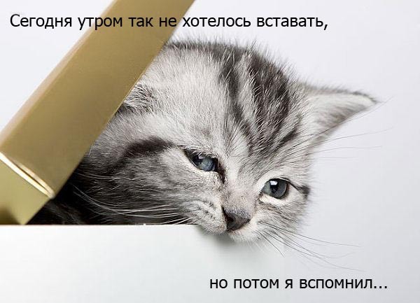 Доброе утро!! Пятница!!