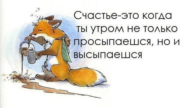 Утро добрым не бывает