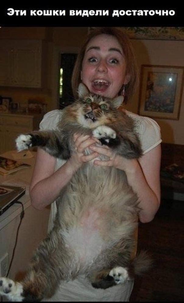 Пушистики в диком восторге