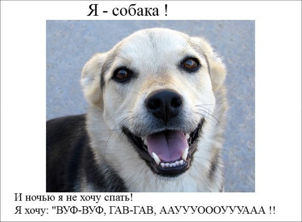 Я не хочу... (смешная подборка картинок)