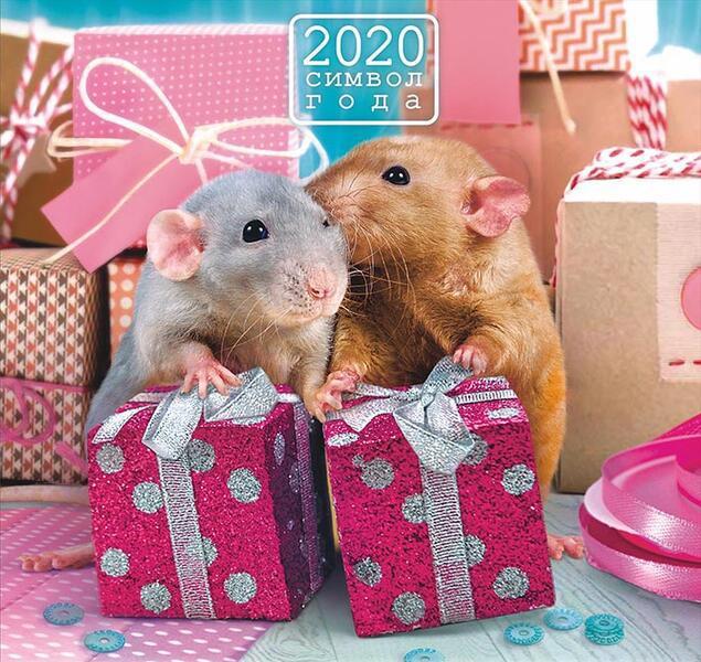 Мимишная открытка на Новый год крысы 2020
