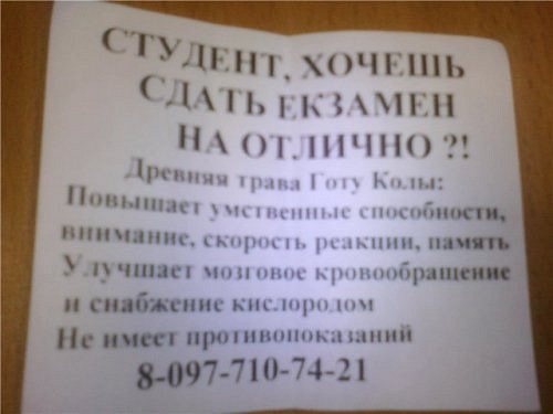 Никогда бы не подумали!