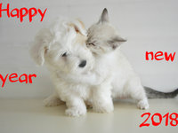 Счастливого Нового года собаки 2018