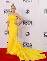 American Music Awards 2014 American Music Awards 2014