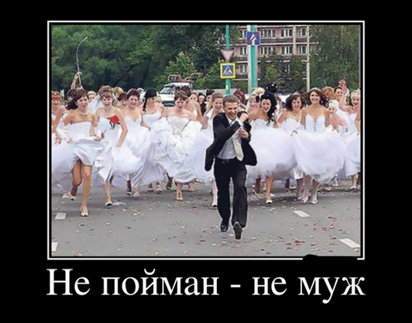 Свадебные демотиваторы