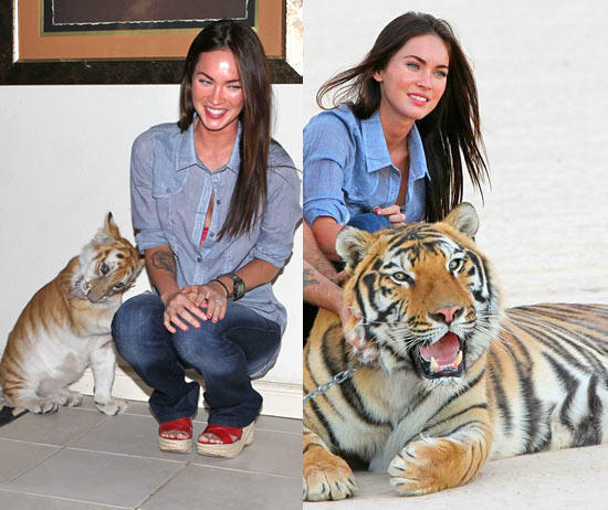 Меган Фокс, Брайан Остин Грин