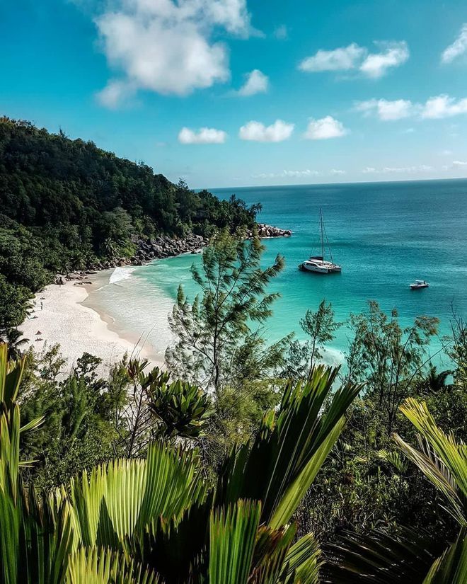 Африка: интересные факты о самом жарком континенте