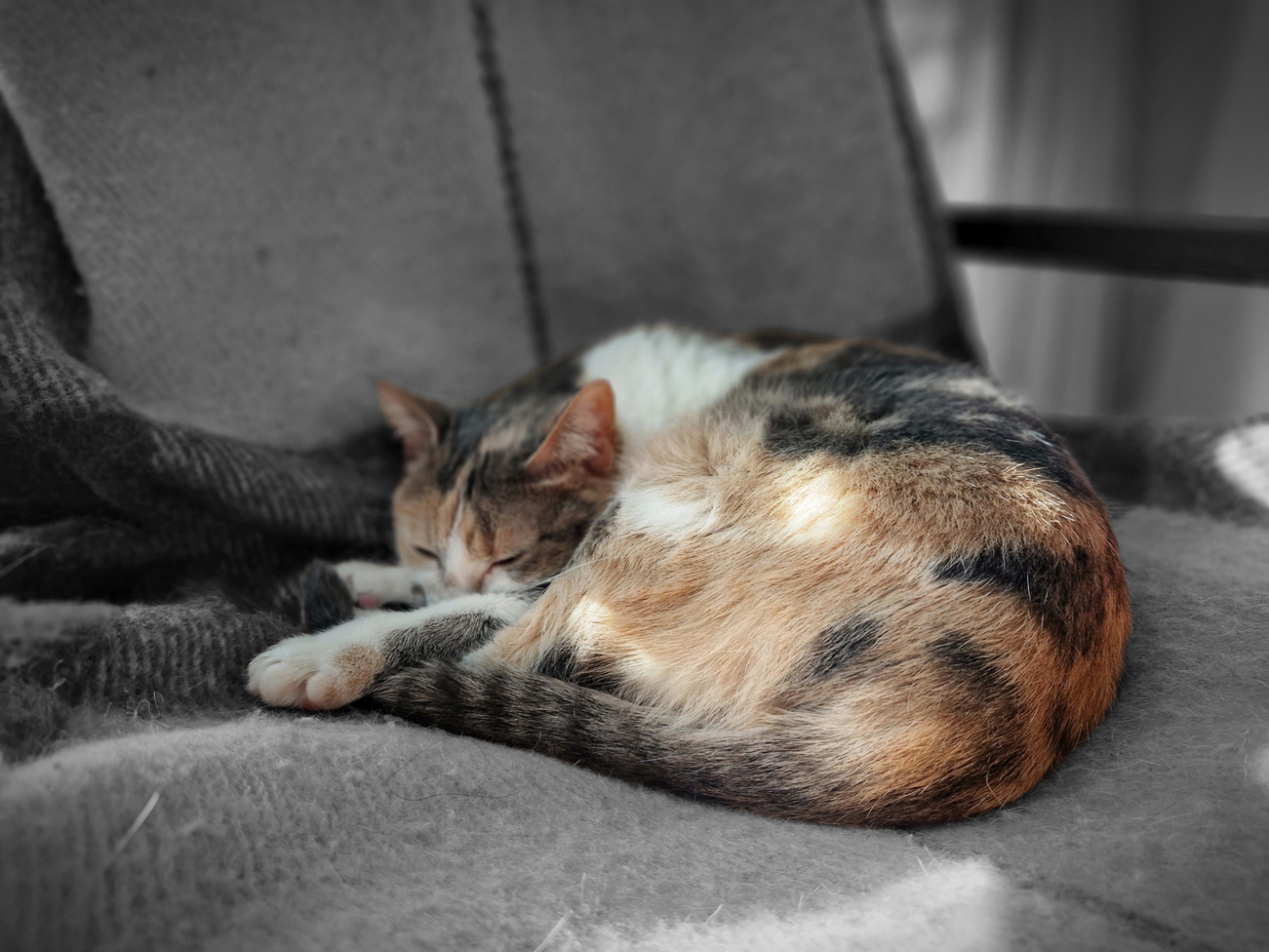 samsung galaxy s22 обзор