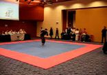 Чемпион Мира по кикбоксингу Балдин Денис  