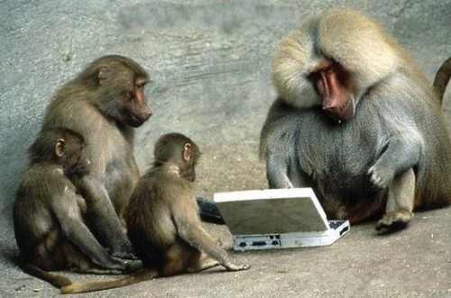 Смешные животные