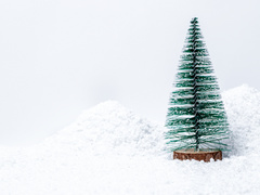 Як і де можна утилізувати ялинку після новорічних свят