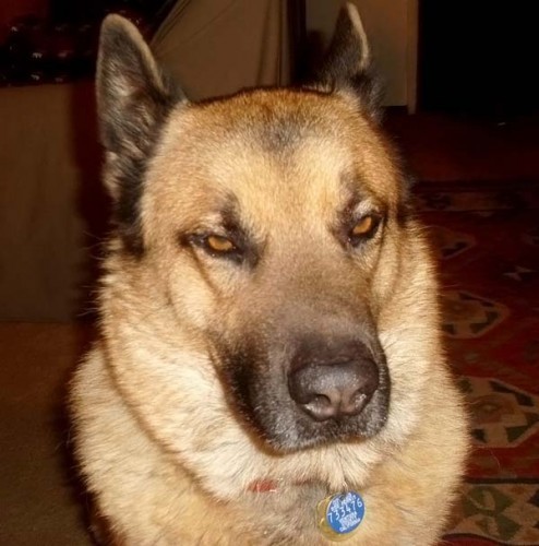 Работаю над стрессоустойчивостью