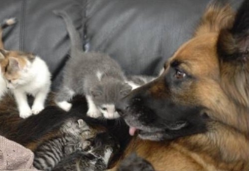 Мы такие разные