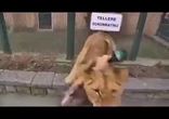 Большие кошки тоже умеют любить