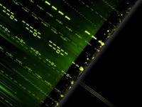 Бинарный код