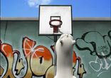 16.Berbard.Basketboll.