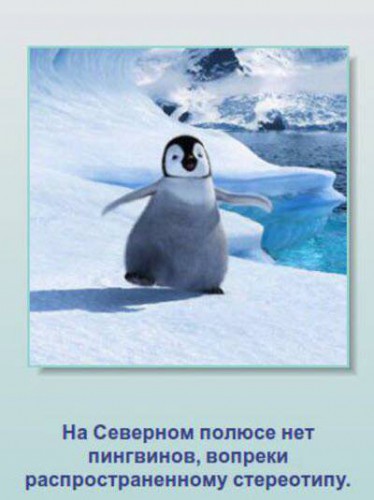 Неизвестные факты о животных