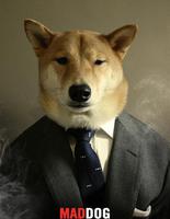 Menswear Dog