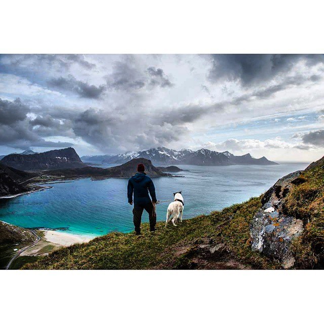 хаскі Акіак 