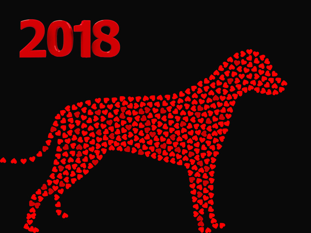 С Новым годом собаки 2018