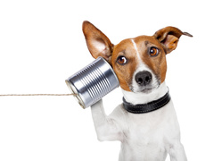 Музыкальные новинки ноября