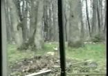 ЖЫвотное Кунг-фу!