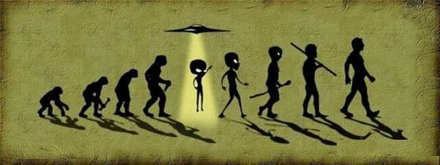 Приколы про эволюцию