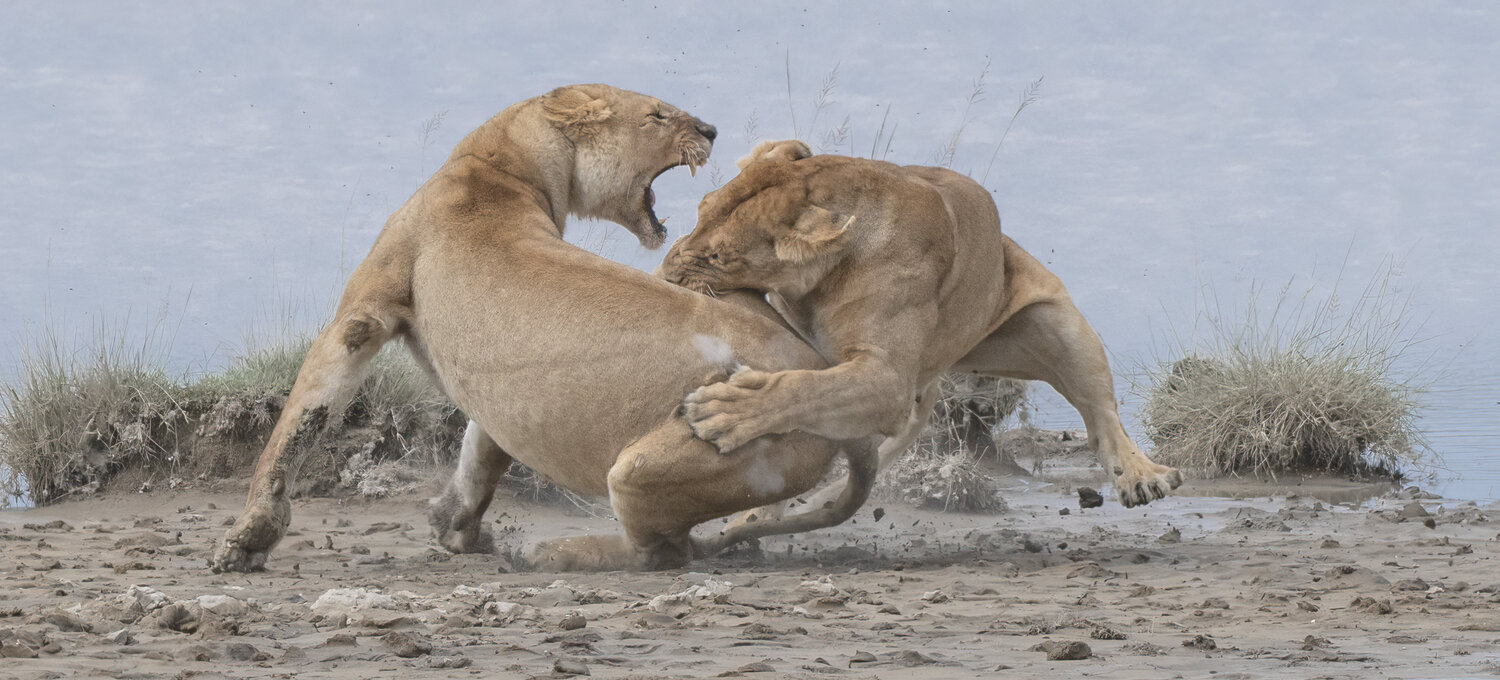 World Nature Photography Awards 2020