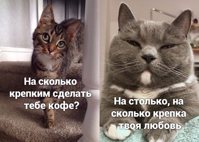 Кофе и любовь