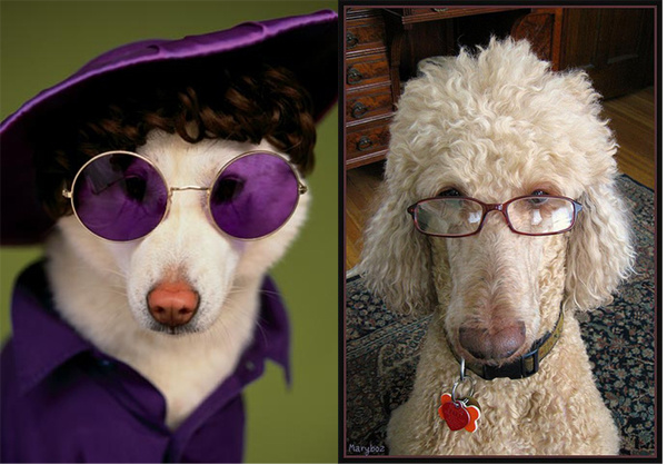 Няшки в очках